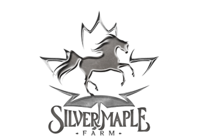 Arabian horses of... :: Silver Maple Farm